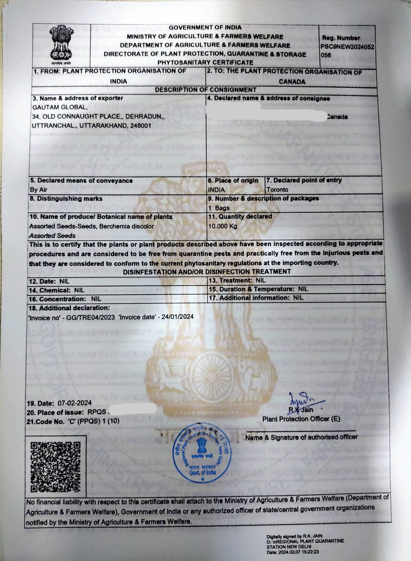 Berchemia discolor Seeds, Bird plum Seeds, Brown ivory Seeds ,Phytosanitary certificate ( CANADA ) - Seedsforgarden (Since 1999).We Ship Seeds & Live Plants Worldwide