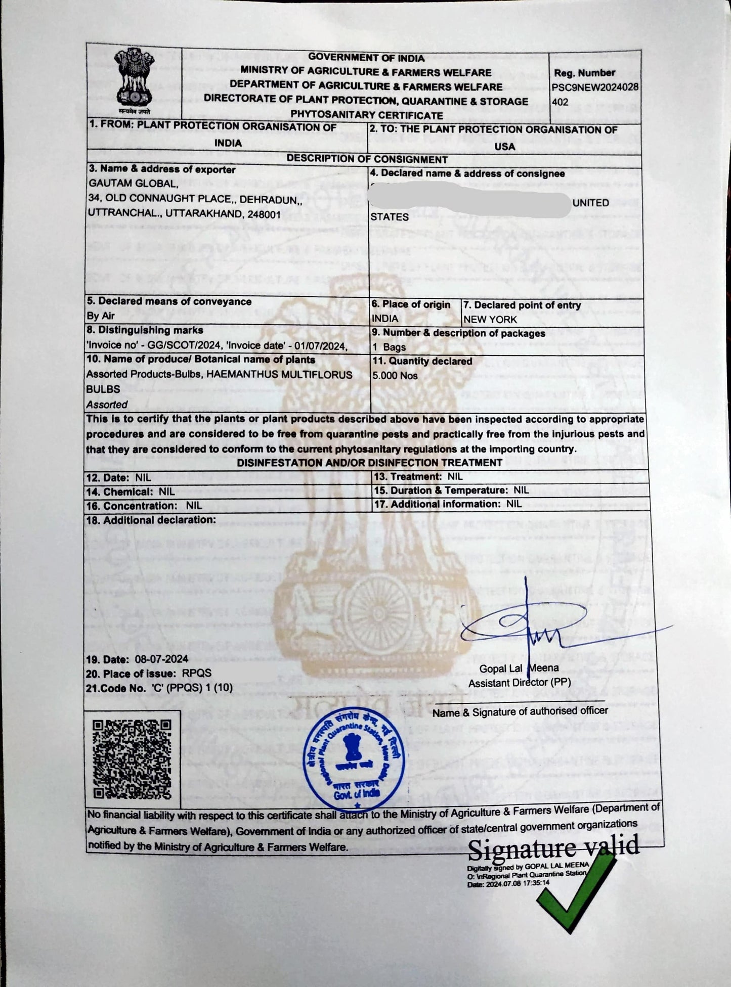 Scadoxus multiflorus Bulb, Football Lily Phytosanitary certificate, ( USA ) - Seedsforgarden (1999-2024 ) .We Ship Seeds & Live Plants Worldwide