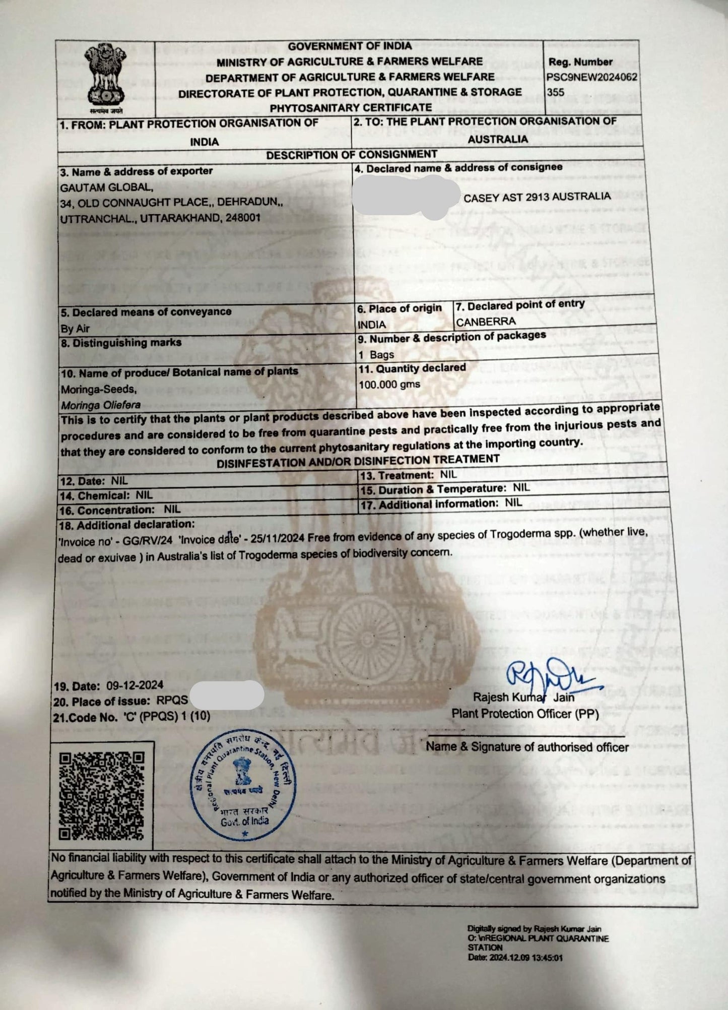 Moringa oleifera Seeds ,Horseradish Tree, Drumstick tree Seeds, Phytosanitary Certificate (Australia) - Seedsforgarden (1999-2024 ) .We Ship Seeds & Live Plants Worldwide