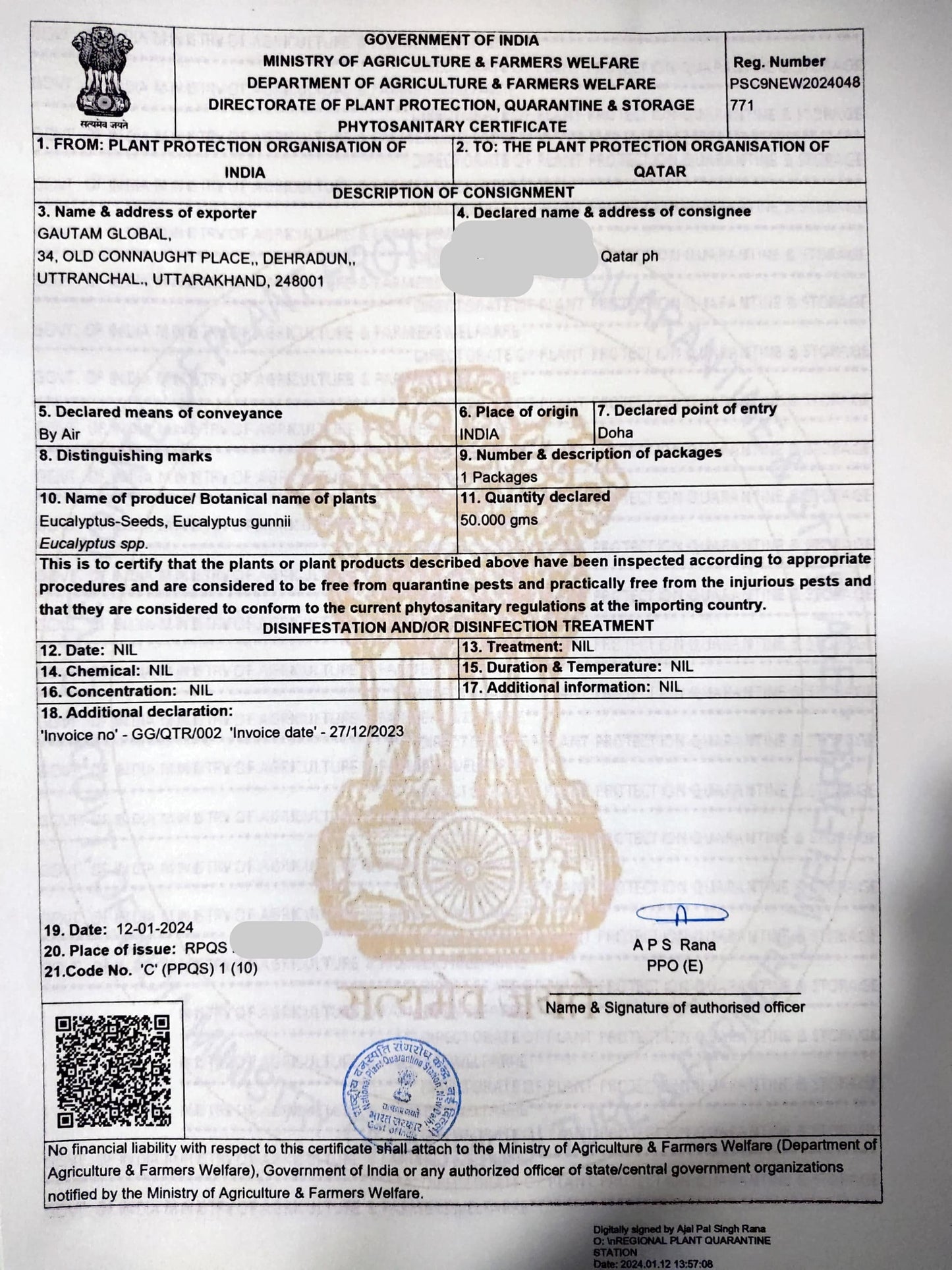 Eucalyptus gunnii Seeds, Cider gum Seeds, Phytosanitary Certificate (Qatar) - Seedsforgarden (Since 1999).We Ship Seeds & Live Plants Worldwide