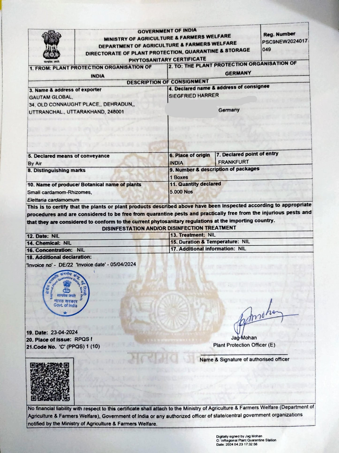 Elettaria cardamomum Rhizomes ,True Cardamom ,.Phytosanitary Certificate (Germany) - Seedsforgarden (1999-2024 ) .We Ship Seeds & Live Plants Worldwide