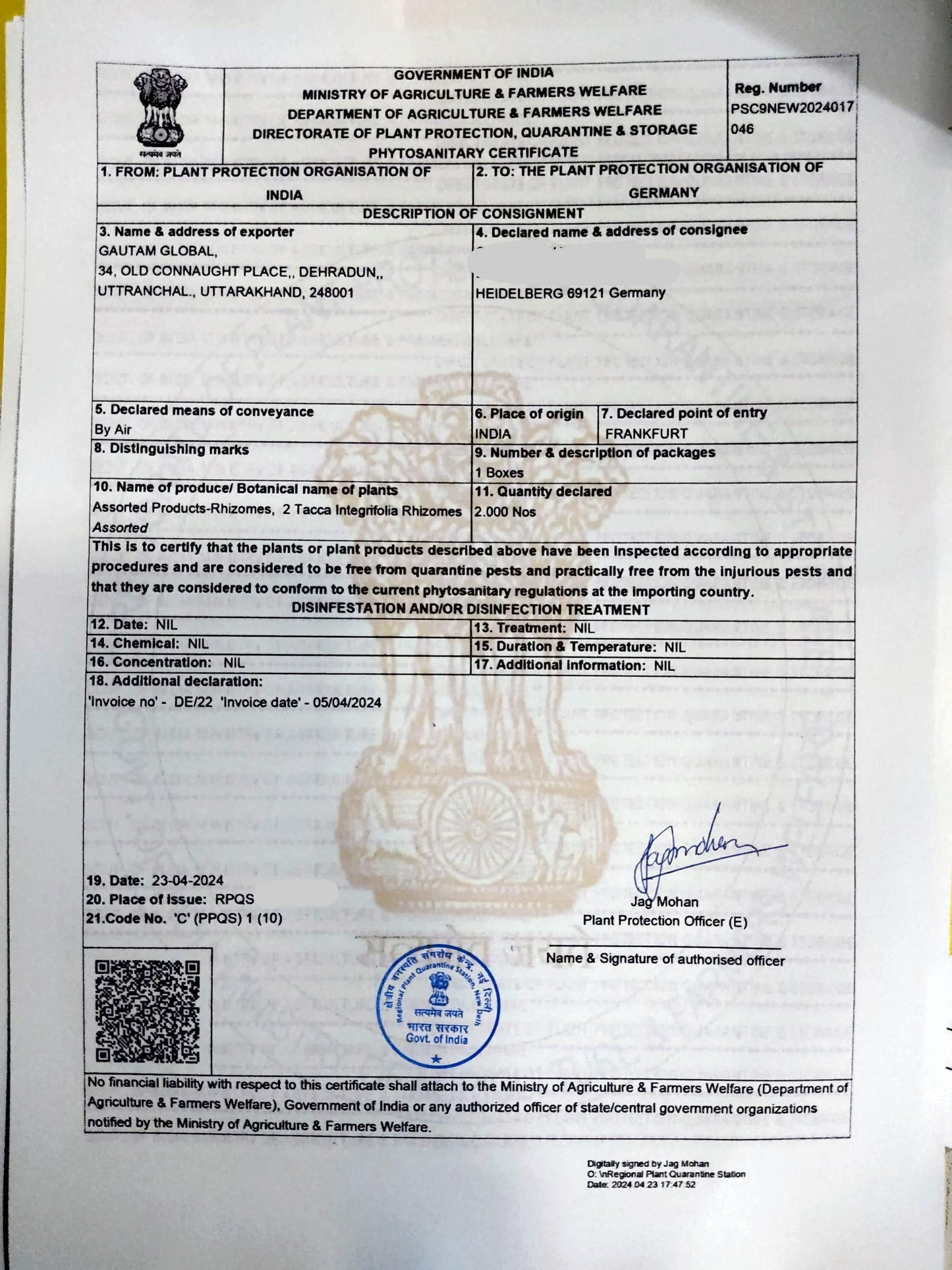 White bat flower Bulbs, Tacca integrifolia Phytosanitary certificate (Germany) - Seedsforgarden (1999-2024 ) .We Ship Seeds & Live Plants Worldwide