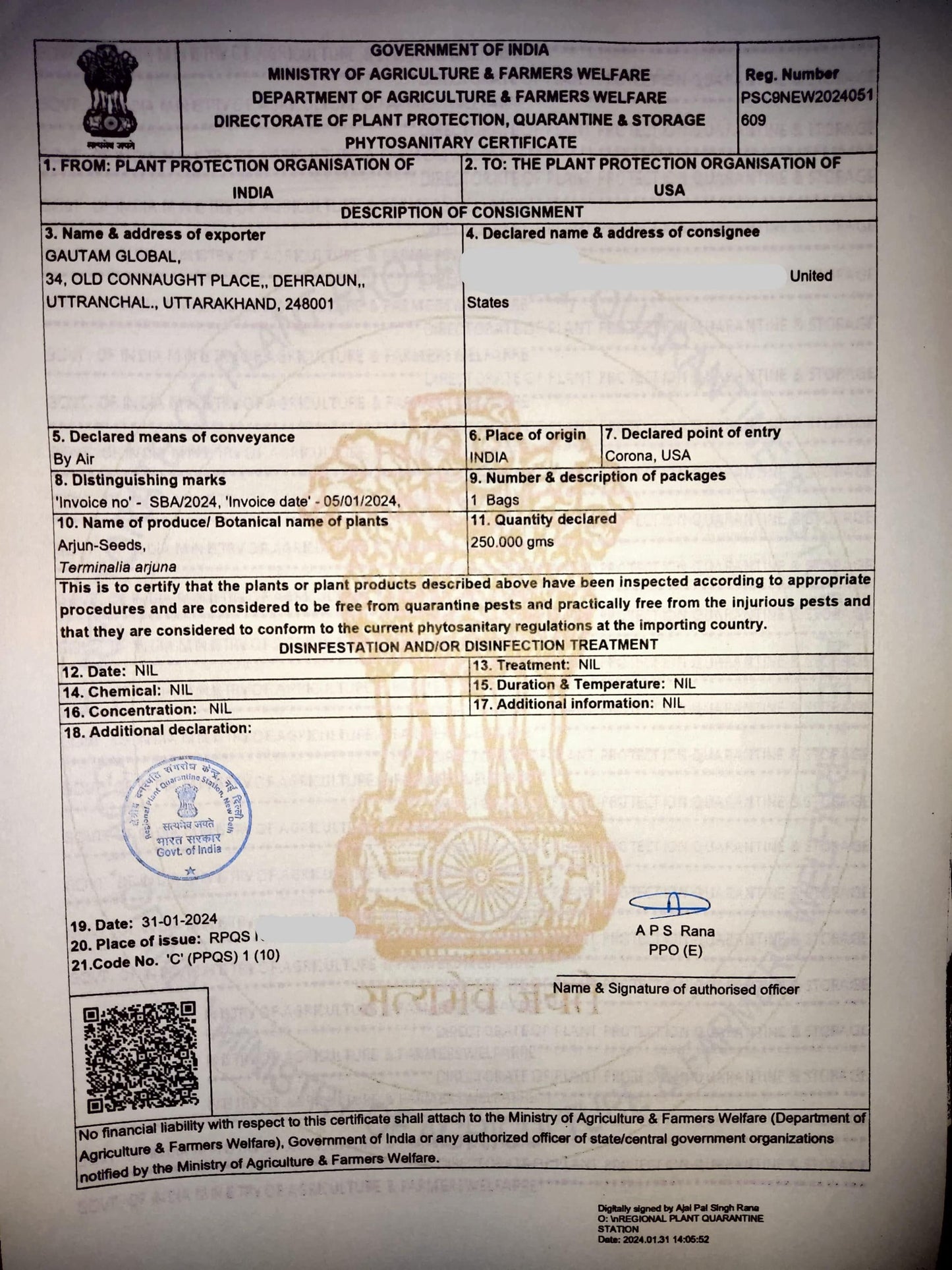 Terminalia arjuna Seeds, Arjun tree Seeds , Phytosanitary Certificate (USA) - Seedsforgarden (Since 1999).We Ship Seeds & Live Plants Worldwide