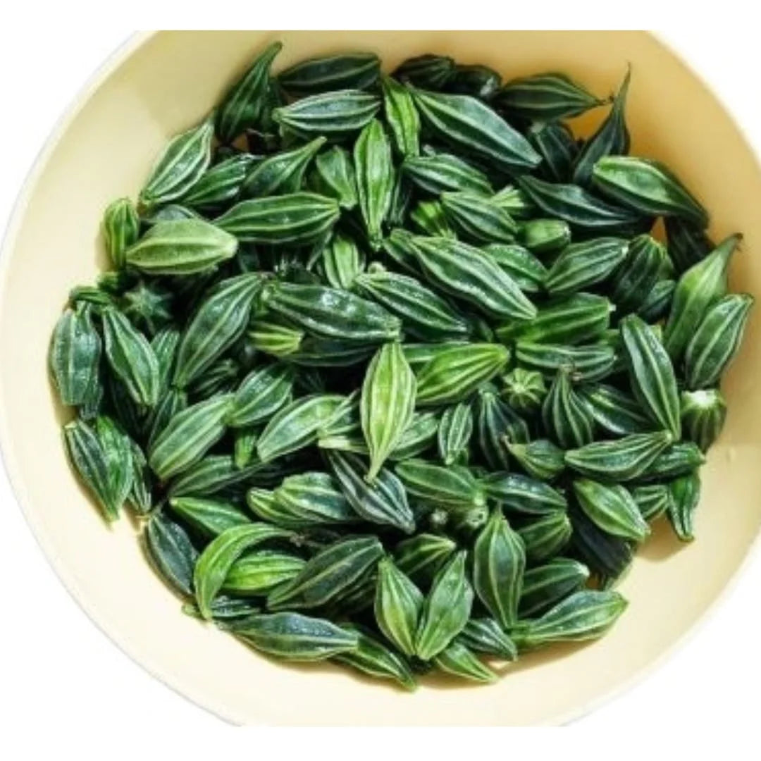 5 Momordica cymbalaria Blubs, Little Wild Gourd Bulbs, Kakrol Bulbs, Athalakkai kilangu