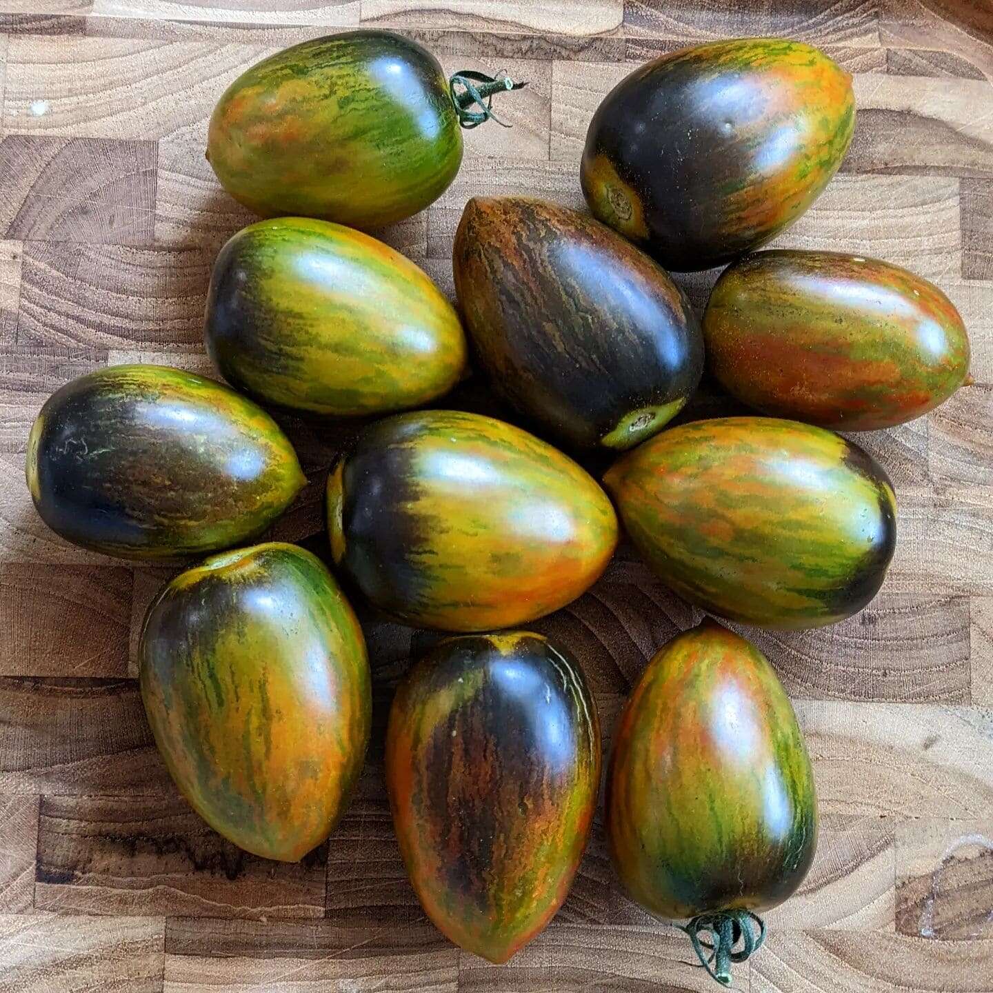 25 Brad’s Atomic Grape Tomato Seeds – Rare Multicoloured Heirloom Tomato