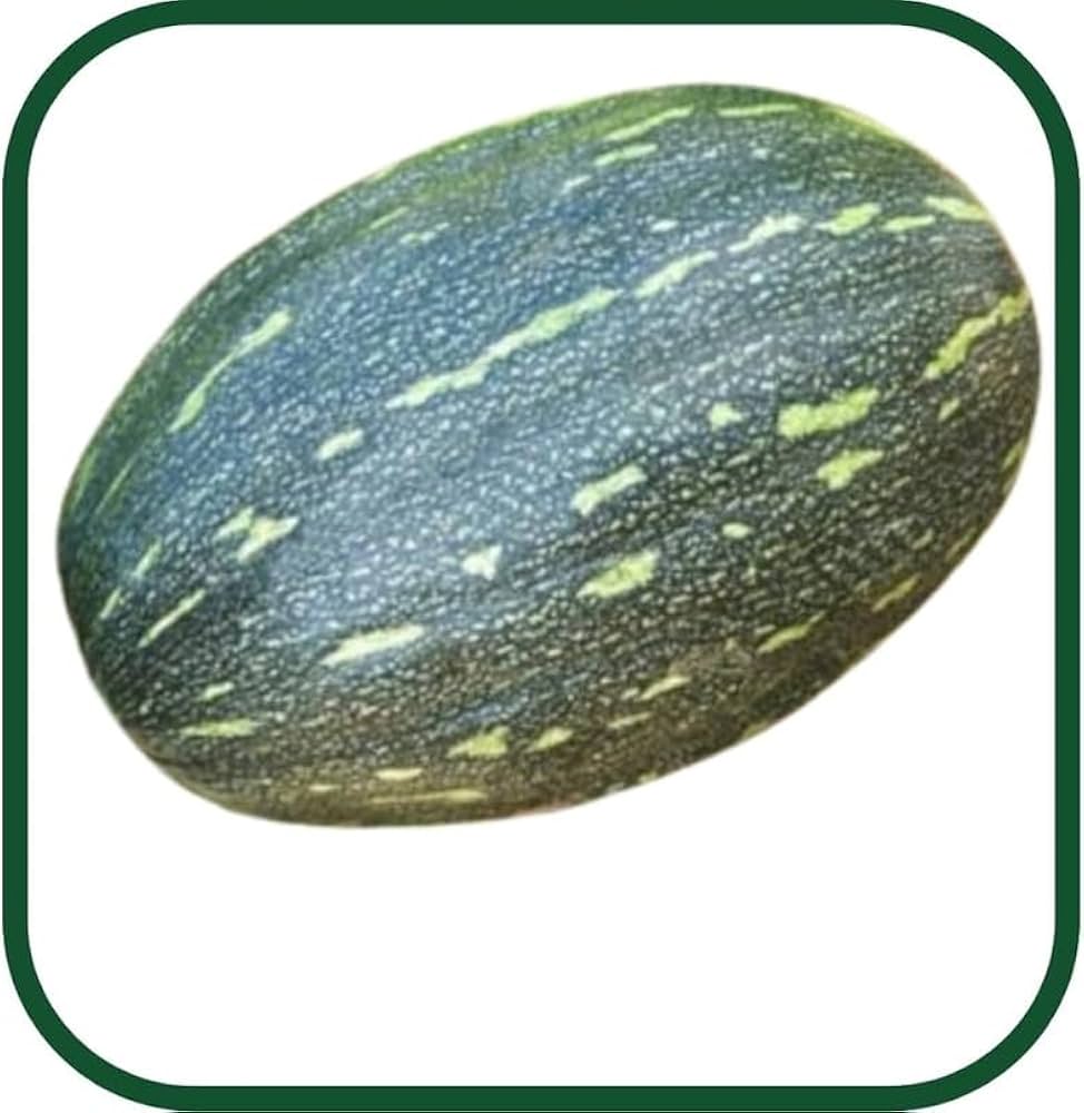 10 Grams Chirayu F1 Hybrid Pumpkin Seeds | Indian Squash | Worldwide Shipping