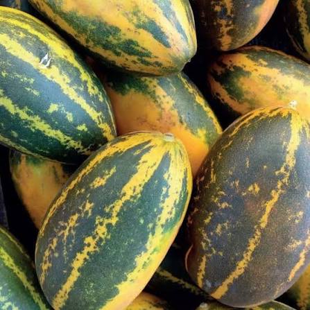 50 Cucumber Seeds, Vellari seeds, Cucumis sativus Native Seeds