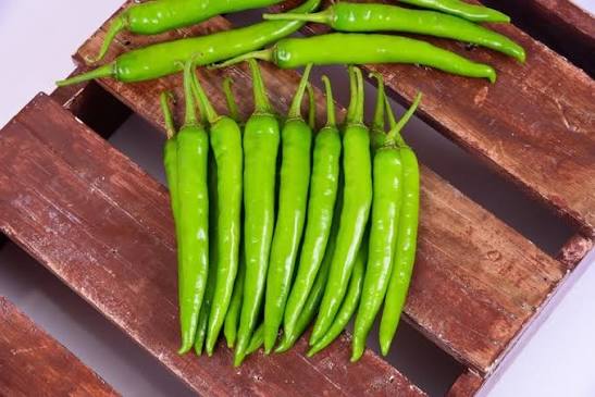 10 Grams KSP 1822 Mathania F1 Hybrid Chilli Seeds