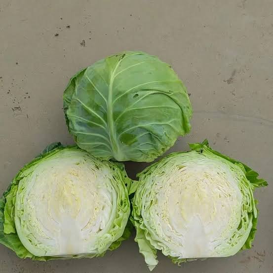 10 Gram Tokyo Green F1 Hybrid Cabbage Seeds | High-Yield Green Cabbage