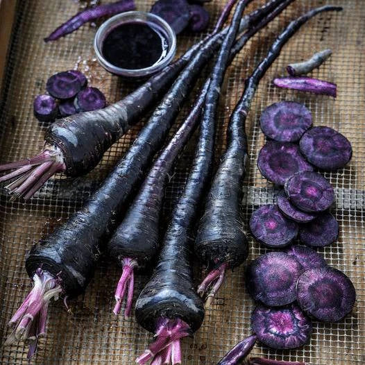 100 Pusa Asita Seeds. Black Carrot .Exotic Black Carrot Seeds.Rare Carrot Seed - Seedsforgarden (1999-2024 ) .We Ship Seeds & Live Plants Worldwide