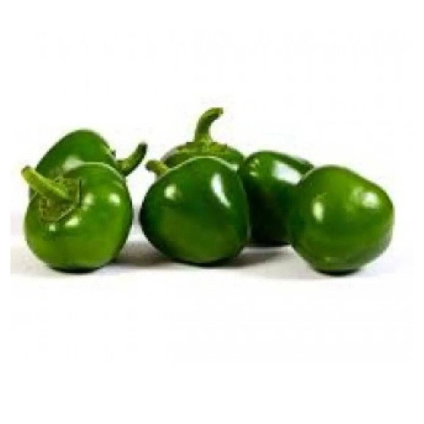 25 Green Round Chilli, Non-Hybrid , Ramnad Green Mundu Chilli Seeds - Seedsforgarden (1999-2024 ) .We Ship Seeds & Live Plants Worldwide