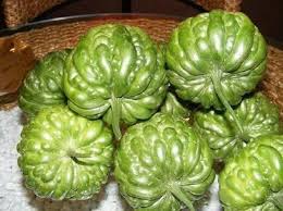 10 Round Bitter melon Seeds , Bitter cucumber, Balsam pear. - Seedsforgarden (Since 1999).We Ship Seeds & Live Plants Worldwide