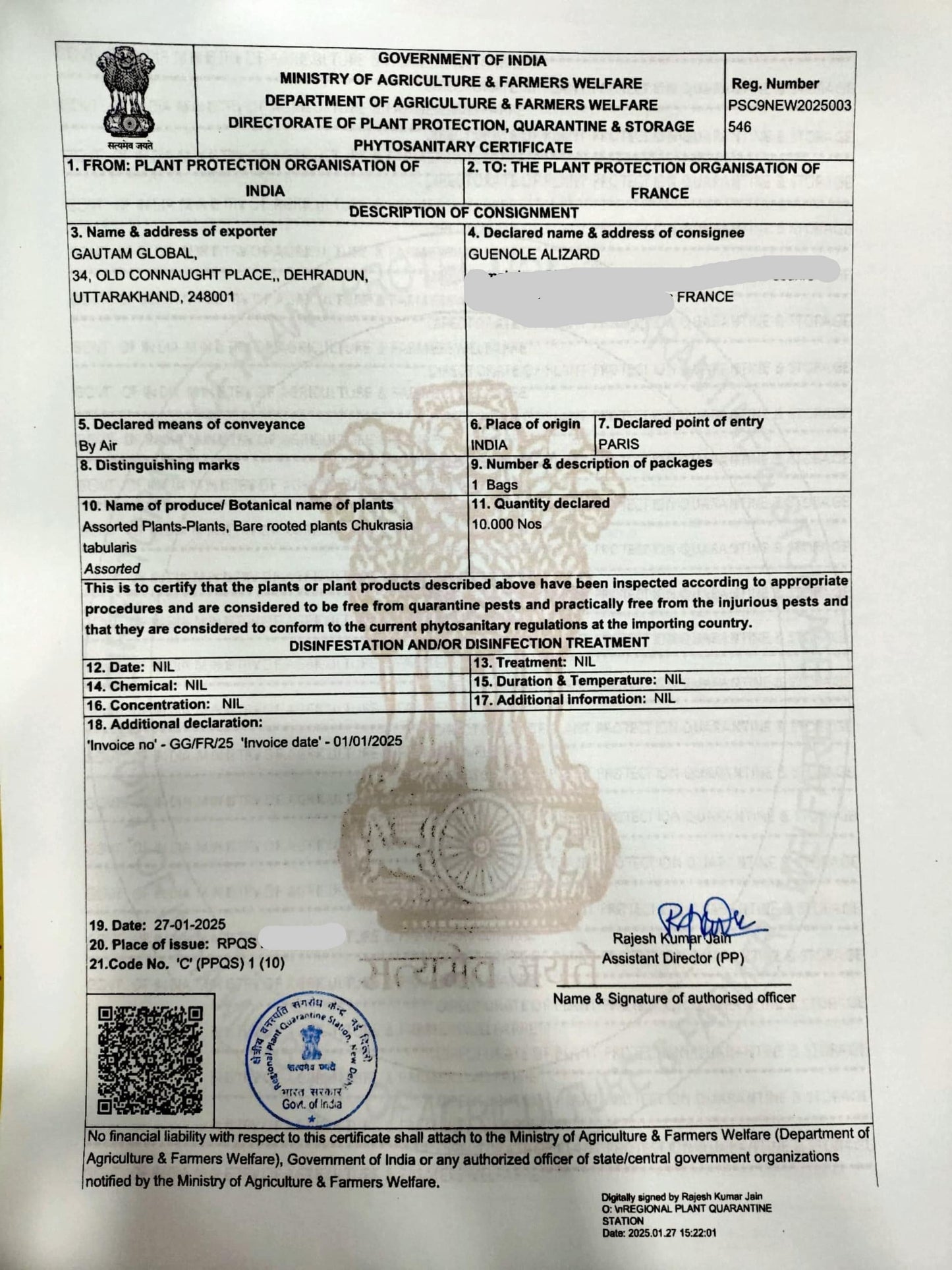 Chukrasia tabularis Plants , Phytosanitary Certificate ( France ) - Seedsforgarden (Since 1999).We Ship Seeds & Live Plants Worldwide