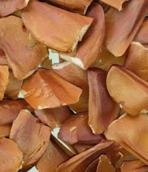 25 Sky Fruit Mahogany Seeds, Swietenia Macrophylla , Big Leaf Mahogany Seeds. Timber Tree Seeds - Seedsforgarden (1999-2024 ) .We Ship Seeds & Live Plants Worldwide