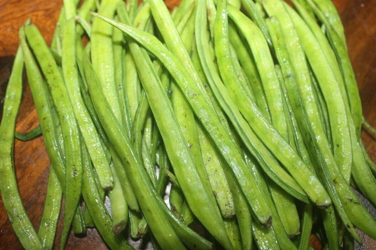 50 Cyamopsis tetragonolobus Seeds ,Guar Gum Seeds, Cluster bean Seeds, Exotic Vegetable Seed - Seedsforgarden (1999-2024 ) .We Ship Seeds & Live Plants Worldwide