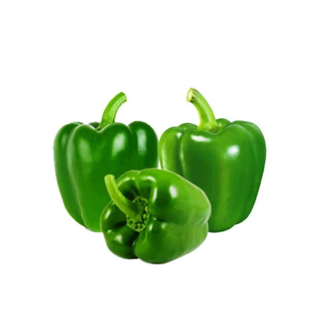 50 Capsicum green Seeds, Non-Hybrid , Bell Pepper Seeds,Green Capsicum Seeds - Seedsforgarden (1999-2024 ) .We Ship Seeds & Live Plants Worldwide