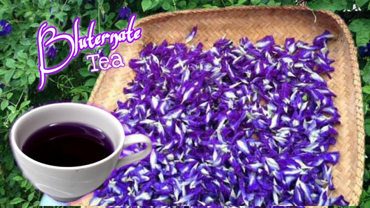 Secrets of Making the Perfect Blue Ternate Tea, Butterfly pea Tea