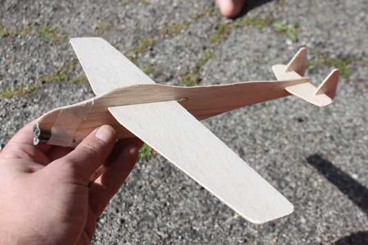 Buy World's lightest Wood, Balsa tree, (Ochroma pyramidale Seeds)
