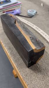 Most Expensive Timber Tree ,African ebony Seeds, Dalbergia melanoxylon