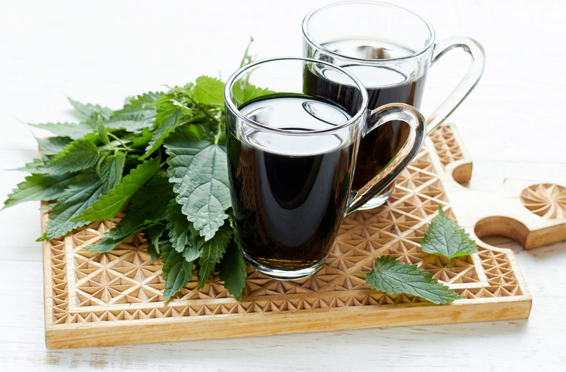 Effective Uses for Andrographis: Cold and Infection Prevention