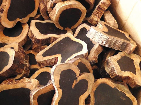 The Most Valuable Timber in the World: Diospyros Ebenum