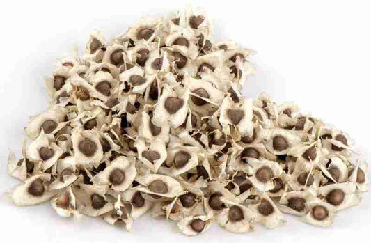 Exotic Moringa Seeds