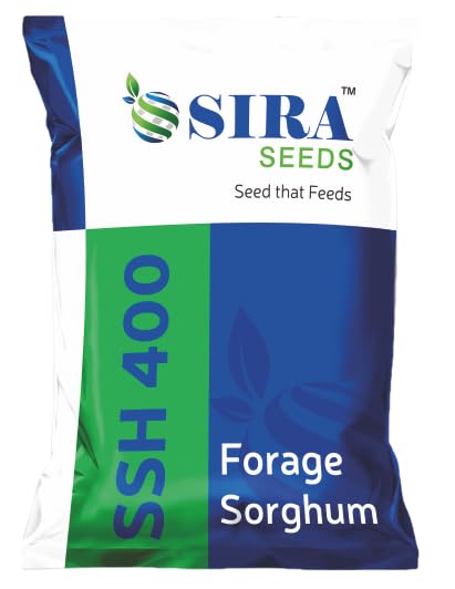 1 Kg SIRA SSH 400 Multicut Forage Sorghum Hybrid Seeds ,With Phytosanitary certificate Seeds