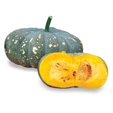 10 Grams Aakash F1 Hybrid Pumpkin Seeds | Indian Squash Vegetable | Worldwide Shipping