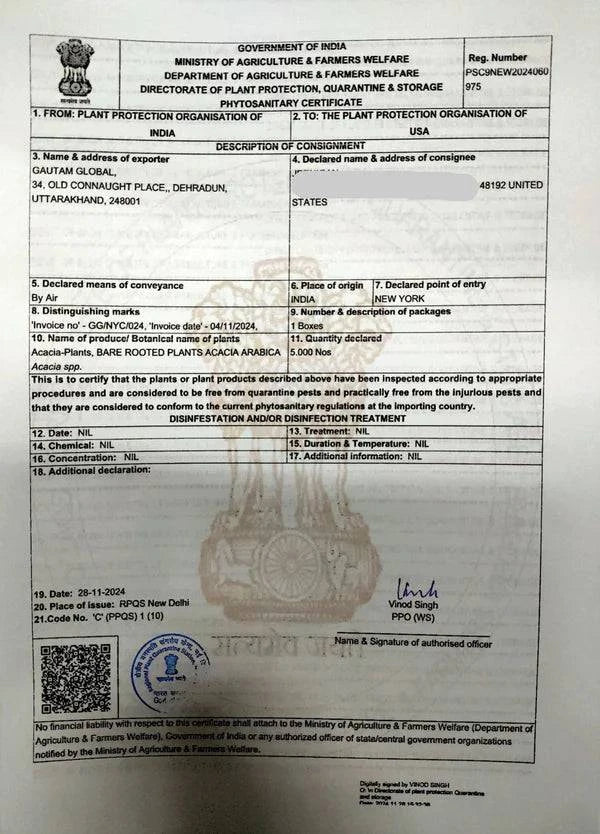 5 Acacia Arabica Plants, Gum Arabic plants , With Phytosanitary certificate - Seedsforgarden (1999-2024 ) .We Ship Seeds & Live Plants Worldwide 