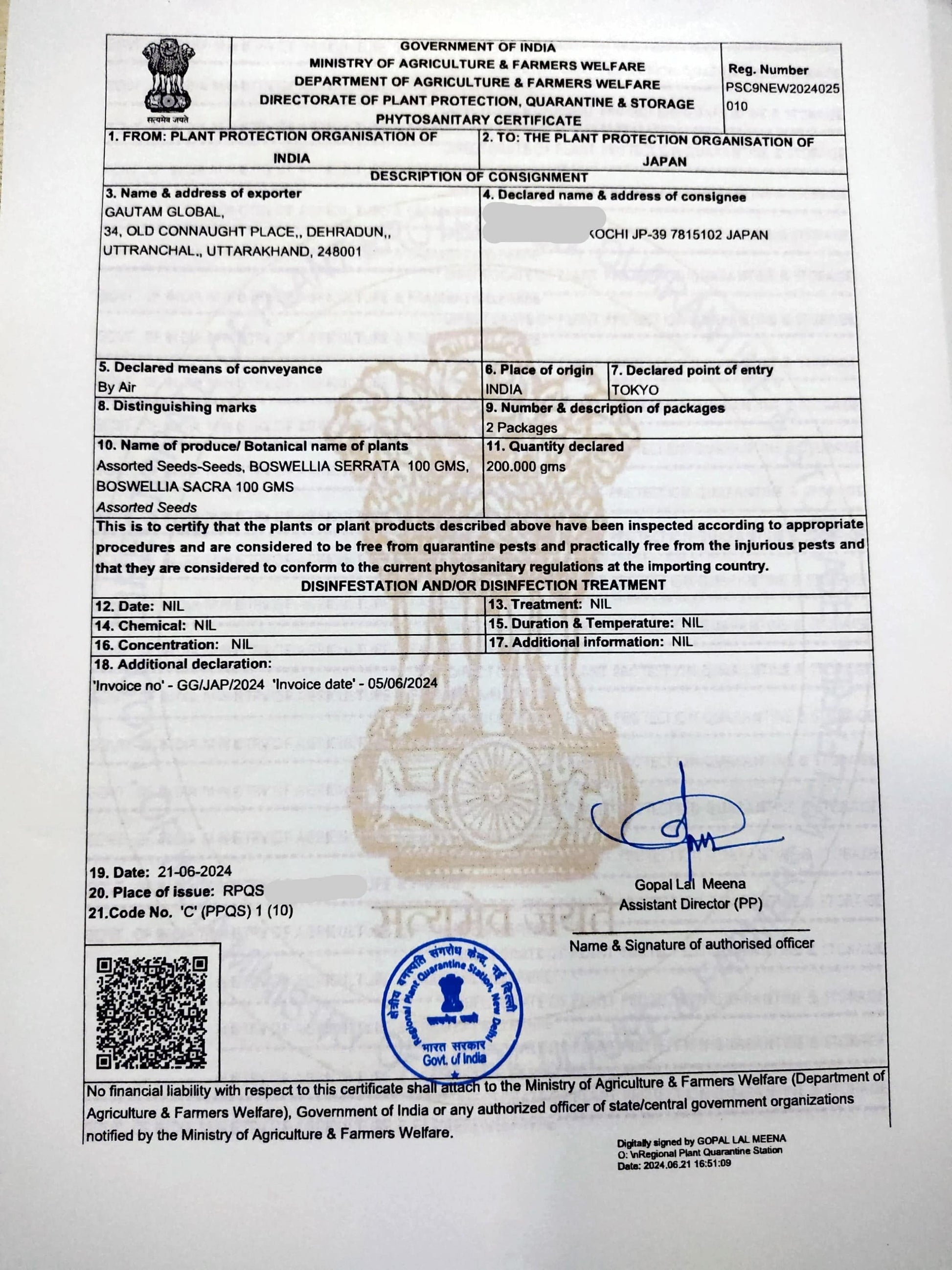 Boswellia serrata , Frankincense tree,Phytosanitary Certificate ( JAPAN) - Seedsforgarden (1999-2024 ) .We Ship Seeds & Live Plants Worldwide 