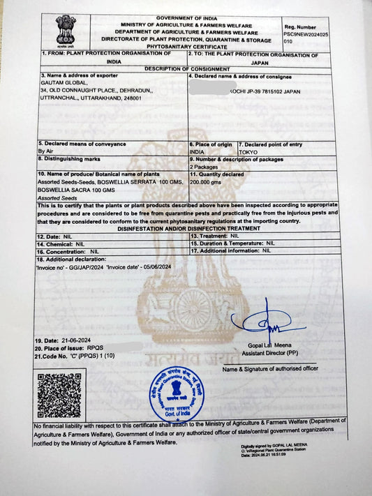 Boswellia serrata , Frankincense tree,Phytosanitary Certificate ( JAPAN) - Seedsforgarden (1999-2024 ) .We Ship Seeds & Live Plants Worldwide 