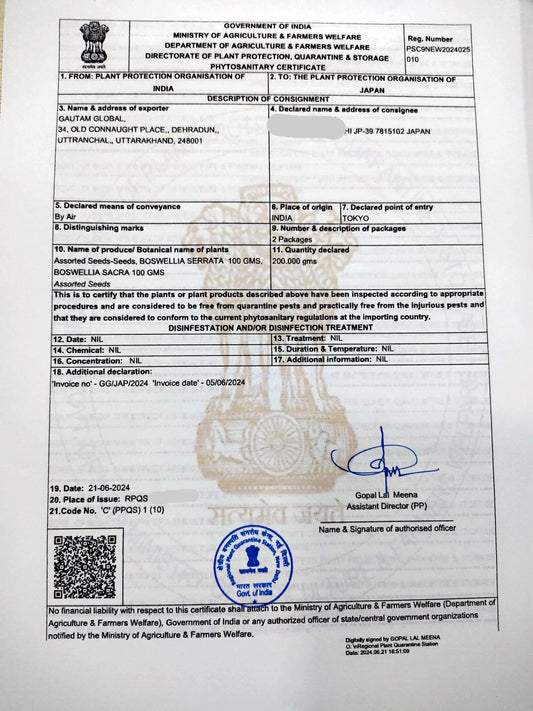 Boswellia sacra , Frankincense tree, Olibanum tree, Phytosanitary Certificate ( JAPAN) - Seedsforgarden (1999-2024 ) .We Ship Seeds & Live Plants Worldwide 