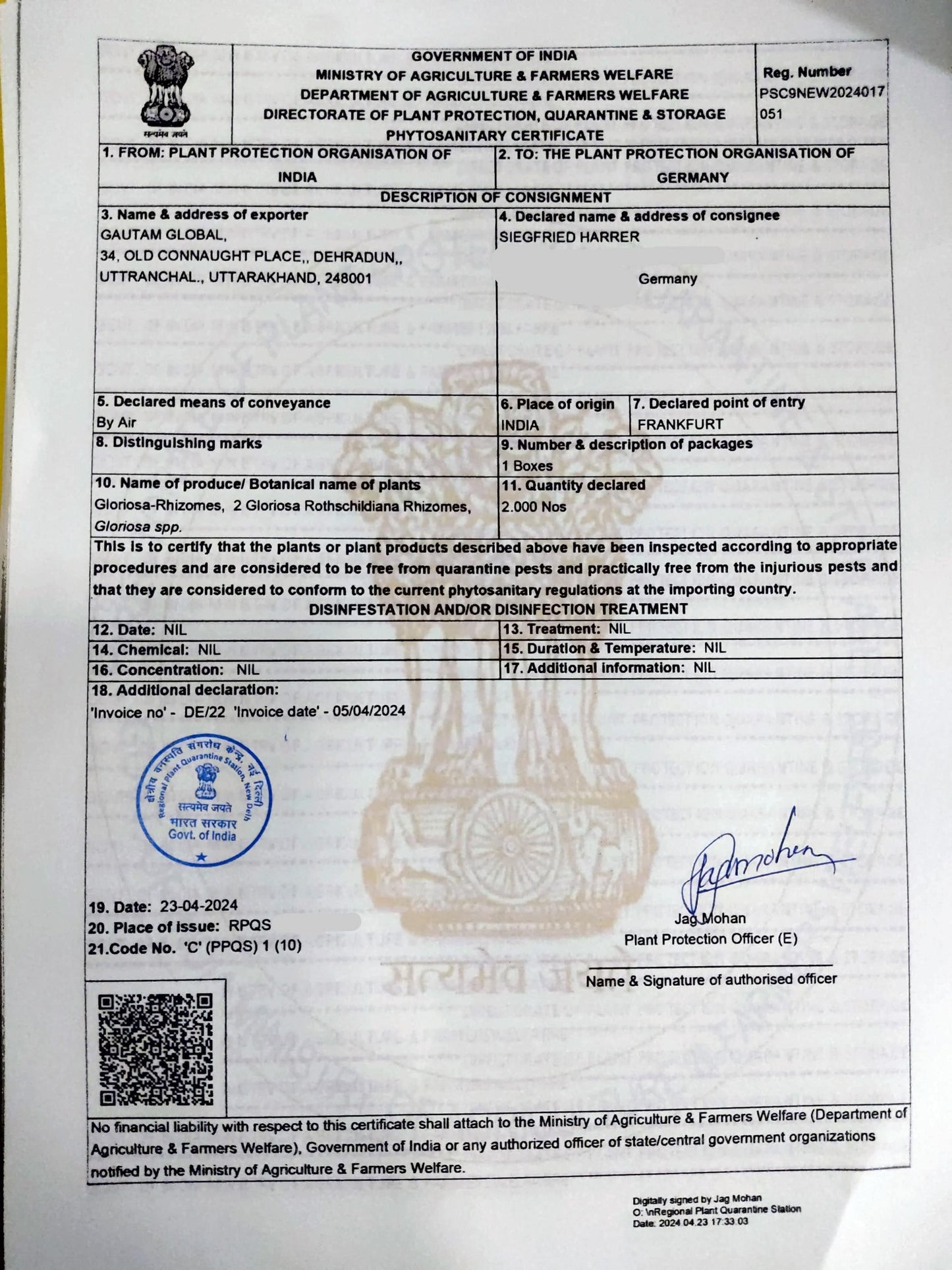 Gloriosa Rothschildiana ,Glory Lily, Phytosanitary Certificate (Germany) - Seedsforgarden (1999-2024 ) .We Ship Seeds & Live Plants Worldwide 