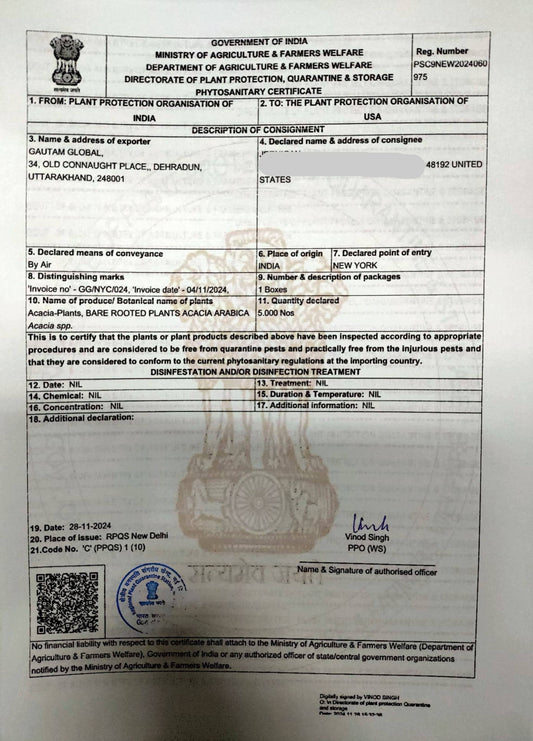 Plants Phytosanitary Certificate USA , Acacia Arabica Live  Plants - Seedsforgarden (1999-2024 ) .We Ship Seeds & Live Plants Worldwide 