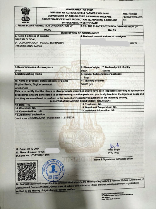 Zingiber zerumbet Seeds,Shampoo Ginger, Pinecone ginger,  Phytosanitary Certificate (Europe ) - Seedsforgarden (1999-2024 ) .We Ship Seeds & Live Plants Worldwide 