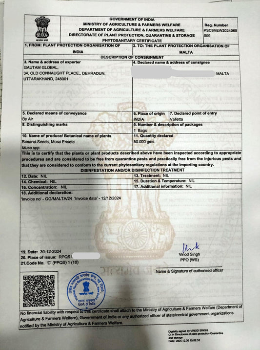 Musa ensete Seeds, Abyssinian banana, Phytosanitary Certificate (Europe ) - Seedsforgarden (1999-2024 ) .We Ship Seeds & Live Plants Worldwide 