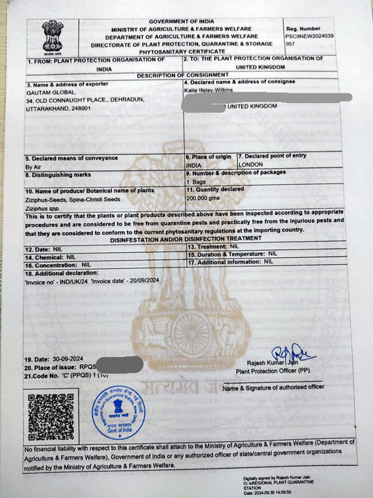 Ziziphus spina-christi  Seeds, Phytosanitary certificate , (United Kingdom) - Seedsforgarden (1999-2024 ) .We Ship Seeds & Live Plants Worldwide 