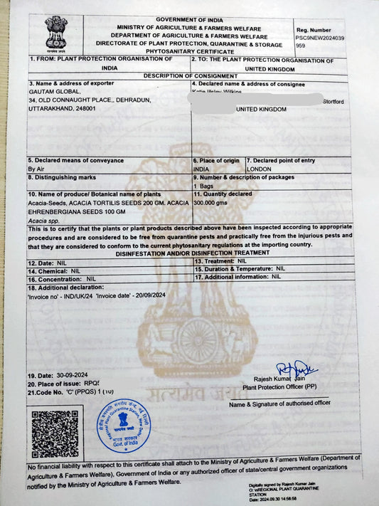 Acacia tortilis tree Seeds,  Phytosanitary Certificate,  (United Kingdom) - Seedsforgarden (1999-2024 ) .We Ship Seeds & Live Plants Worldwide 