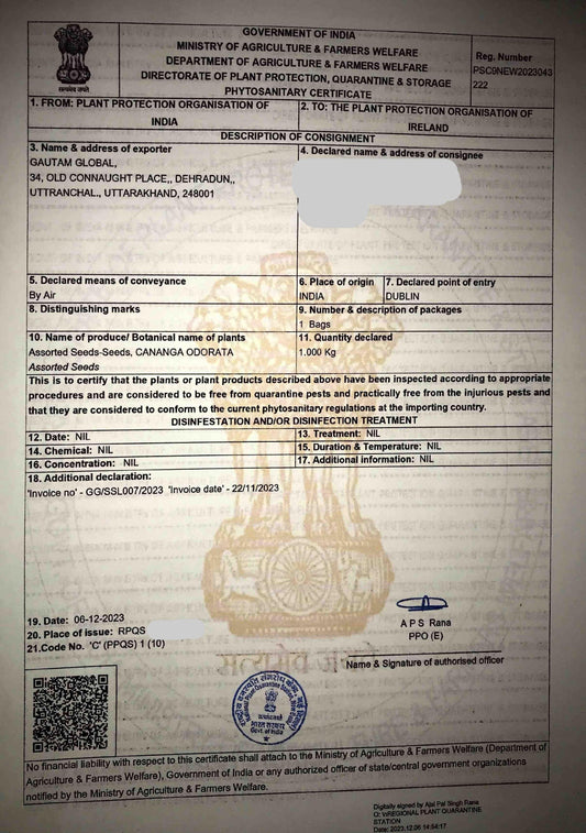 Cananga odorata Seeds, Ylang Ylang Phytosanitary certificate, (Europe) - Seedsforgarden (1999-2024 ) .We Ship Seeds & Live Plants Worldwide 