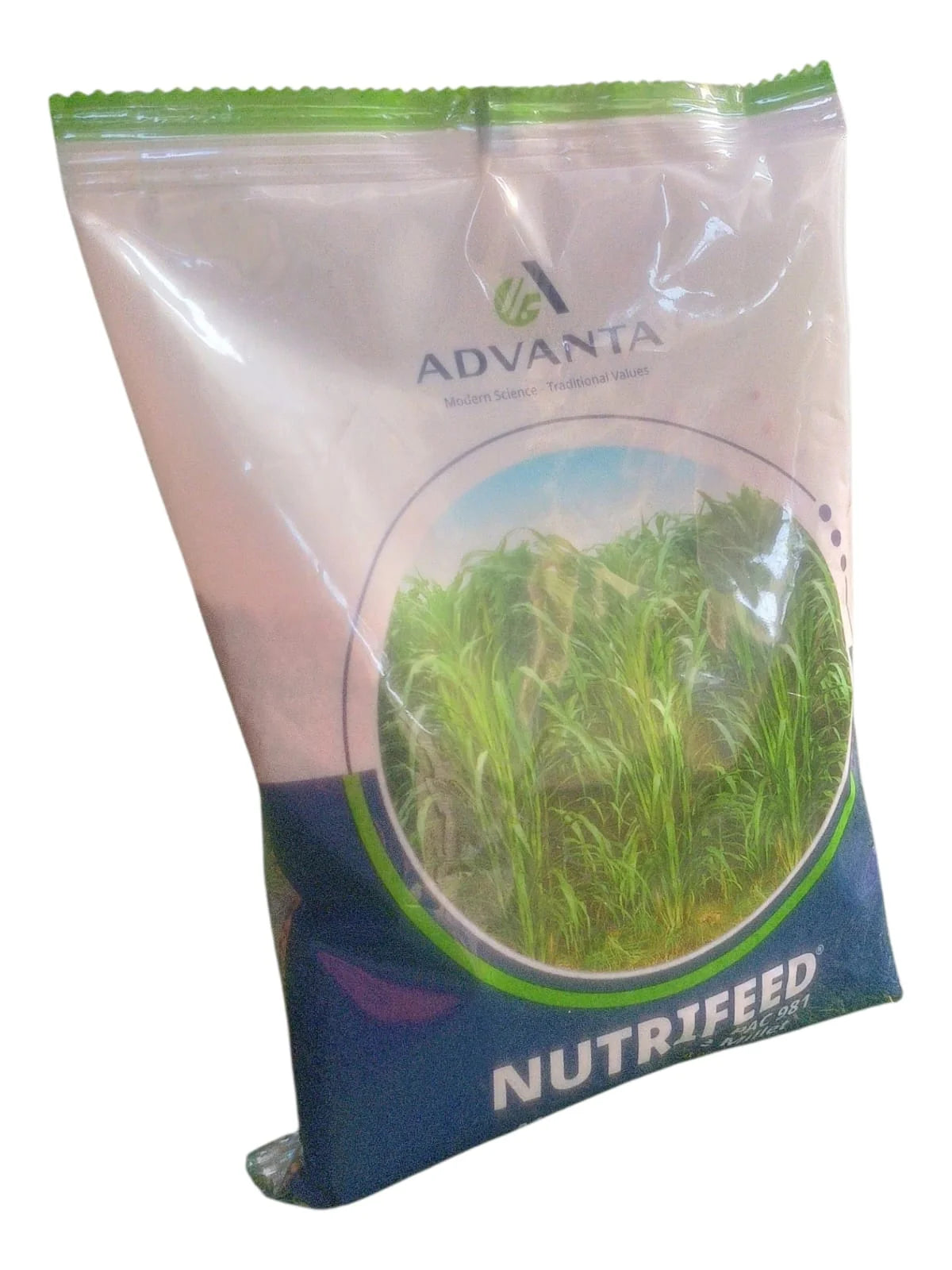 Advanta Nutrifeed Multicut Forage Pearl Millet Seeds ,1 kg with Phytosanitary Certificate