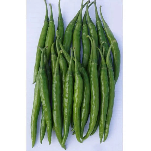 200 Armada F1 Hybrid Chilli Seeds | High-Yield Spicy Chillies for Commercial Farming