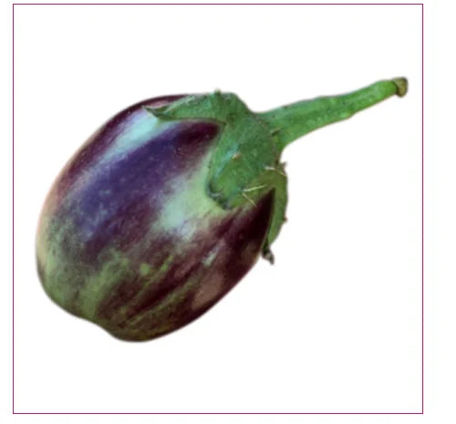 10 Grams Real Ajmeri F1 Hybrid Brinjal Seeds , Eggplant Seeds