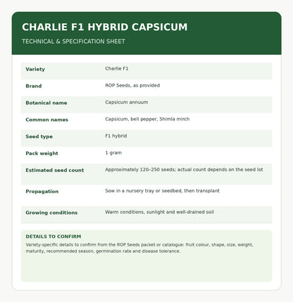 1 Gram Charlie F1 Hybrid Capsicum Seeds –  Green Bell Pepper