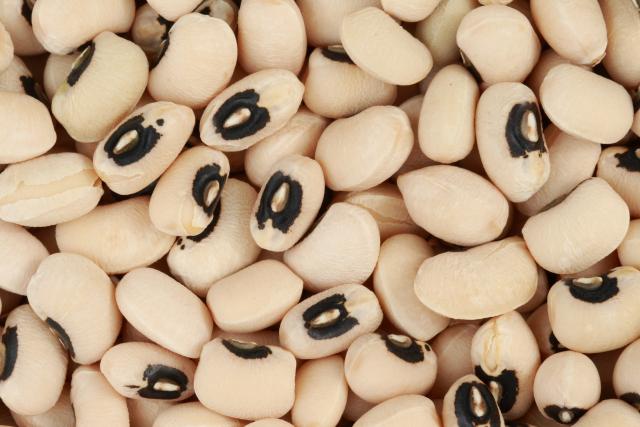1 Kg Cowpea Fodder Seeds , Vigna unguiculata | With  Phytosanitary Certificate