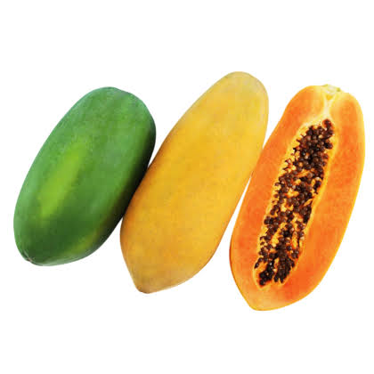 600 F1 EXP 15 Hybrid Papaya Seeds | High-Quality Papaya Fruit Seeds for  Farming