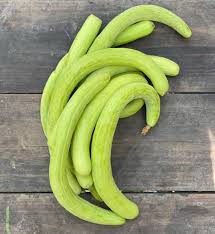 10 Grams Green Saga F1 Long Melon Seeds, Kakdi Seeds
