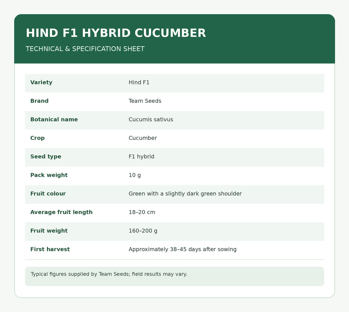 10 Grams Hind F1 Hybrid Cucumber Seeds –| Cucumis sativus Seeds