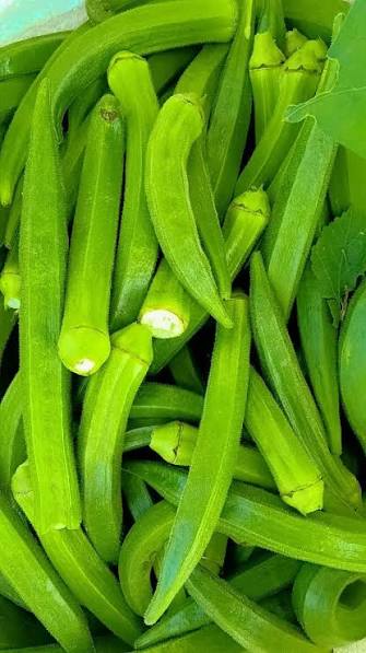 10 Grams Mastani F1 Hybrid Okra Seeds | High-Yield Lady’s Finger Bhindi Seeds|