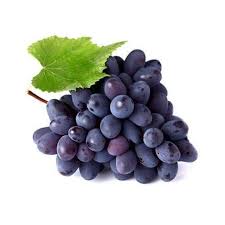 10 Black Paneer Grapes Fruit Plant, Vitis vinifera Plants With Phytosanitary certificate