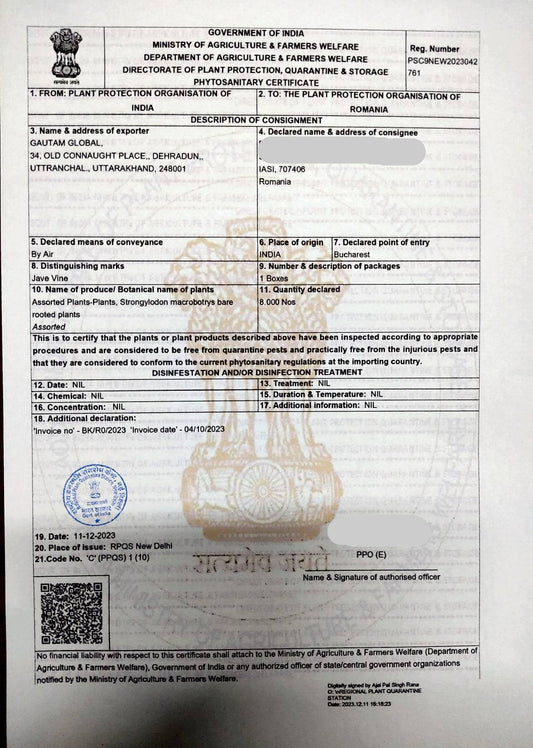 Plants  Phytosanitary Certificate Romania , Strongylodon macrobotrys - Seedsforgarden (1999-2024 ) .We Ship Seeds & Live Plants Worldwide 